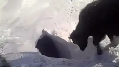 Zakon.kz, фото - Новости Zakon.kz от 10.03.2017 22:23