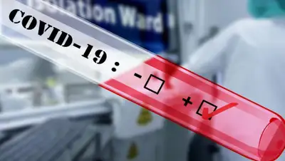 Pixabay, фото - Новости Zakon.kz от 18.03.2020 01:39