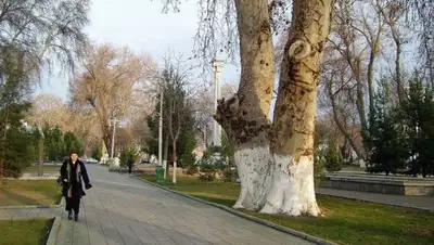 fergana.agency, фото - Новости Zakon.kz от 25.01.2019 00:06