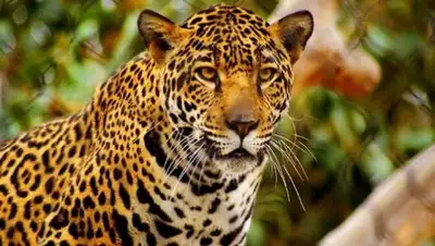 Zakon.kz, фото - Новости Zakon.kz от 22.06.2016 13:23