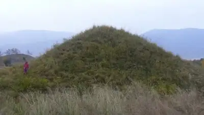 altai.kz, фото - Новости Zakon.kz от 23.12.2018 22:19