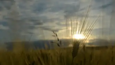 Zakon.kz, фото - Новости Zakon.kz от 29.01.2015 22:37