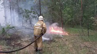 пожар в Абайской области, фото - Новости Zakon.kz от 10.06.2023 15:31