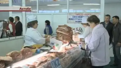 Zakon.kz, фото - Новости Zakon.kz от 22.09.2015 06:04