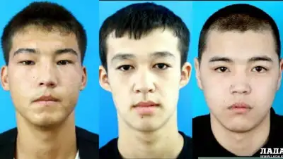 Лада, фото - Новости Zakon.kz от 22.08.2019 15:41