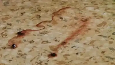 Zakon.kz, фото - Новости Zakon.kz от 10.03.2017 15:56