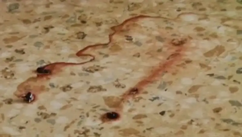 Журналистам показали квартиру, где 8 марта карагандинец убил мать