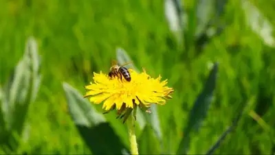 Zakon.kz, фото - Новости Zakon.kz от 28.05.2021 17:21