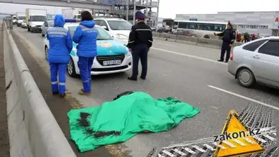 Zakon.kz, фото - Новости Zakon.kz от 04.04.2017 21:04