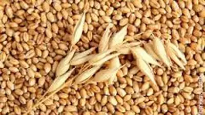 Zakon.kz, фото - Новости Zakon.kz от 07.08.2014 03:46