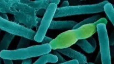 Zakon.kz, фото - Новости Zakon.kz от 28.08.2015 22:59