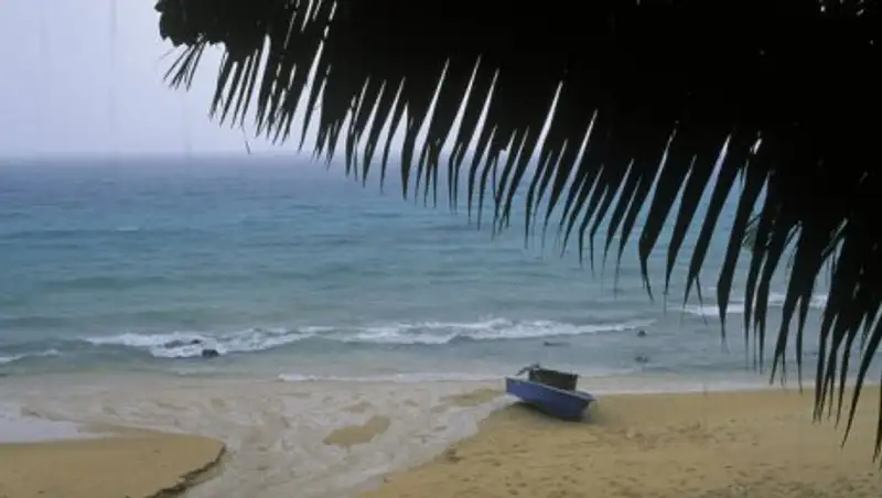 Власти Фиджи, расследующие убийство двух россиян, нашли отрезанную человеческую голову