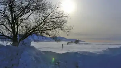 Zakon.kz, фото - Новости Zakon.kz от 12.01.2015 17:06