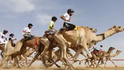 пресс-служба акима Туркестанской области, фото - Новости Zakon.kz от 17.10.2018 11:24