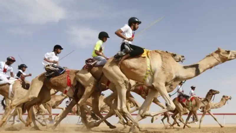 В Туркестанской области впервые пройдет международный фестиваль "Safari Shardara"