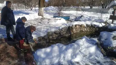 Крещение: как в Шымкенте в прорубь ныряли, фото - Новости Zakon.kz от 20.01.2023 14:55