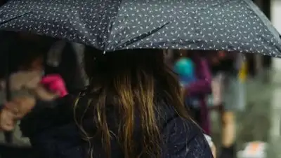 pxhere.com, фото - Новости Zakon.kz от 12.05.2021 16:59