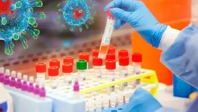 inform.kz, фото - Новости Zakon.kz от 08.07.2021 18:44