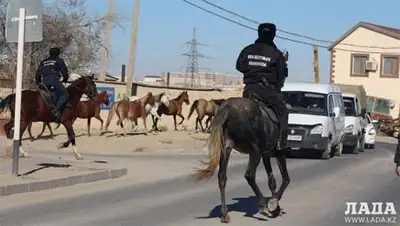 Zakon.kz, фото - Новости Zakon.kz от 30.10.2014 22:42