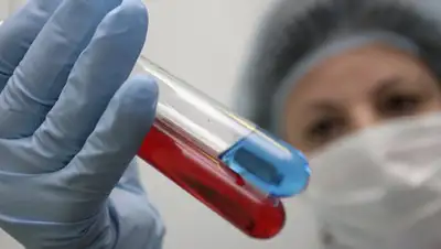 sputnik, фото - Новости Zakon.kz от 25.08.2020 08:36