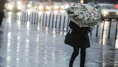 Zakon.kz, фото - Новости Zakon.kz от 02.08.2017 22:01