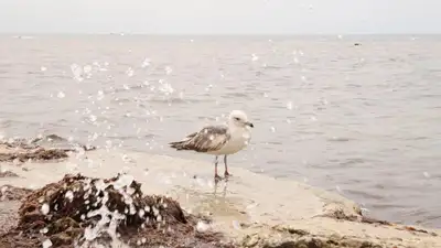 Минимум 30 суток продлится режим ЧС в Актау, фото - Новости Zakon.kz от 08.06.2023 17:54