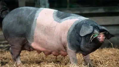 Zakon.kz, фото - Новости Zakon.kz от 06.02.2015 01:32