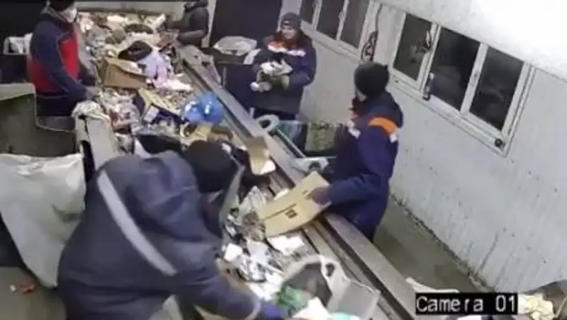 Мусорщик спас кота от мучительной смерти в сепараторе