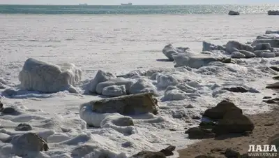 Zakon.kz, фото - Новости Zakon.kz от 30.01.2015 16:58