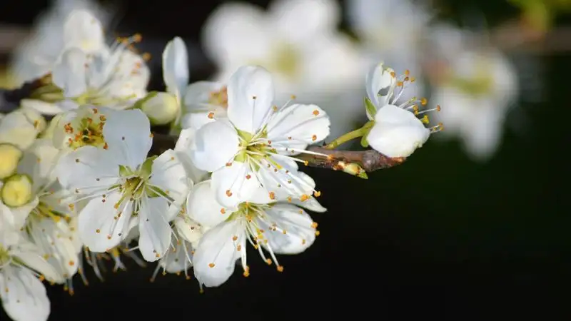 Субботний гороскоп для всех знаков зодиака