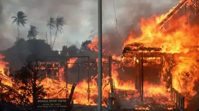 пожар на Гавайях, фото - Новости Zakon.kz от 16.08.2023 11:24