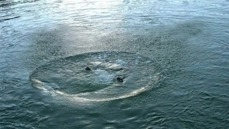 В Костанайской области при переправе на лошади через реку утонул мужчина