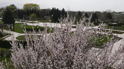 Синоптики прогнозируют в Алматы раннюю весну, фото - Новости Zakon.kz от 03.02.2023 13:55