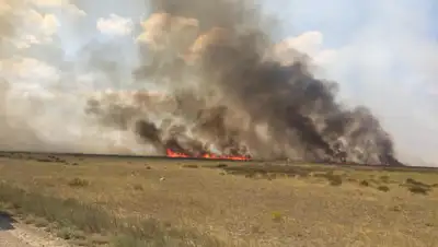 пресс-служба КЧС МВД РК, фото - Новости Zakon.kz от 10.08.2019 18:40