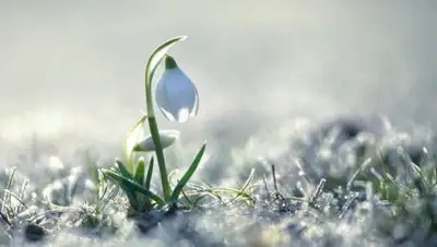 Zakon.kz, фото - Новости Zakon.kz от 07.04.2017 12:00