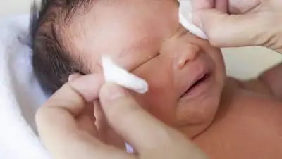 Фото: Свободная трибуна, фото - Новости Zakon.kz от 13.01.2018 07:21