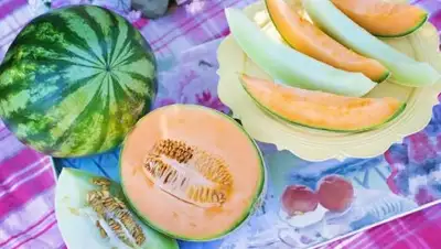 Zakon.kz, фото - Новости Zakon.kz от 28.08.2017 23:29