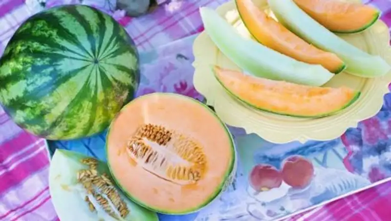 Бесплатной раздачи дынь и арбузов в Дни ЮКО в Астане не будет - акимат