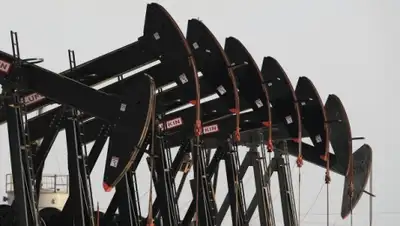 Zakon.kz, фото - Новости Zakon.kz от 04.02.2016 07:47