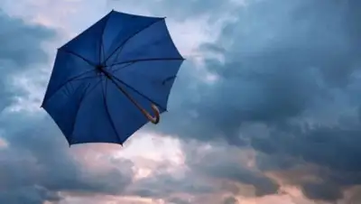 24.kz, фото - Новости Zakon.kz от 30.07.2020 15:13