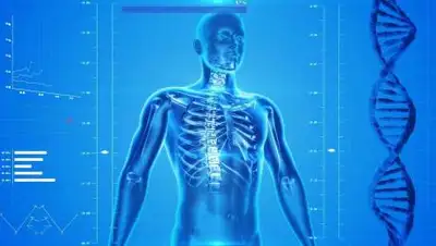 pixabay.com, фото - Новости Zakon.kz от 20.08.2021 18:17