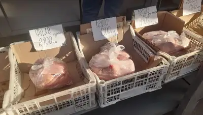 курица цена восток Казахстан, фото - Новости Zakon.kz от 26.09.2022 16:36