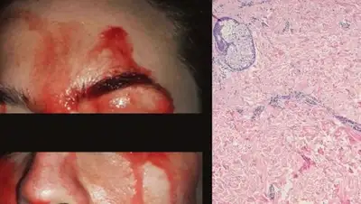 Zakon.kz, фото - Новости Zakon.kz от 24.10.2017 15:17