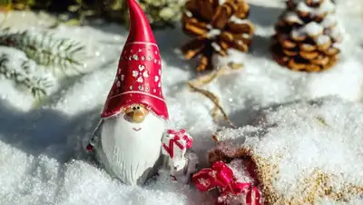 снег , фото - Новости Zakon.kz от 30.12.2021 16:11