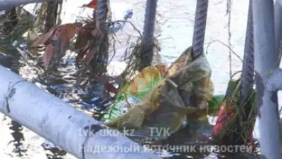 Zakon.kz, фото - Новости Zakon.kz от 28.12.2017 16:41