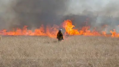 vesti.ua, фото - Новости Zakon.kz от 09.01.2020 09:36
