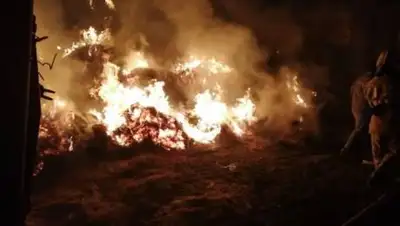 МЧС РК, фото - Новости Zakon.kz от 07.10.2021 12:51