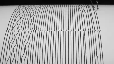 The Open University, фото - Новости Zakon.kz от 27.01.2019 21:17