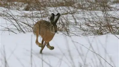 Zakon.kz, фото - Новости Zakon.kz от 24.10.2017 19:00