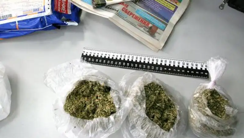 Запрещать новые наркотики в Казахстане смогут оперативнее